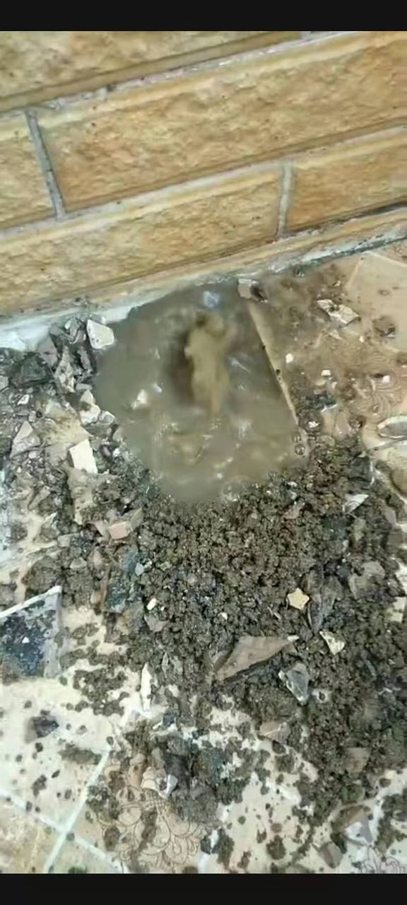 济南地埋电缆漏电跳闸维修现场实拍:地下供水管道漏水点开挖确认