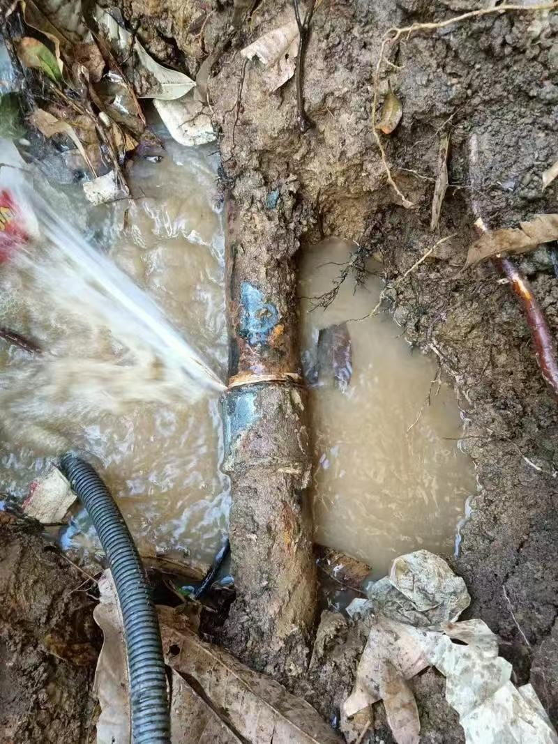 泰安市政管道疑难漏点维修现场实拍:地下供水管道漏水点开挖确认