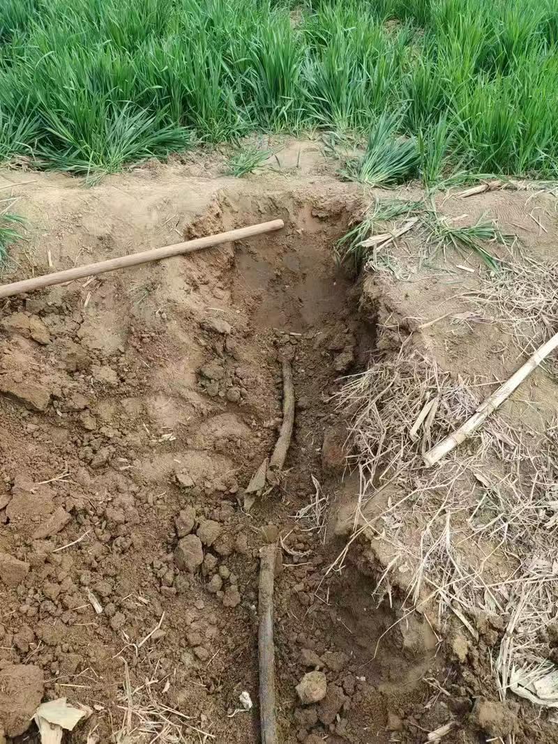 徐州地埋电缆漏电跳闸维修现场实拍:地下供水管道漏水点开挖确认
