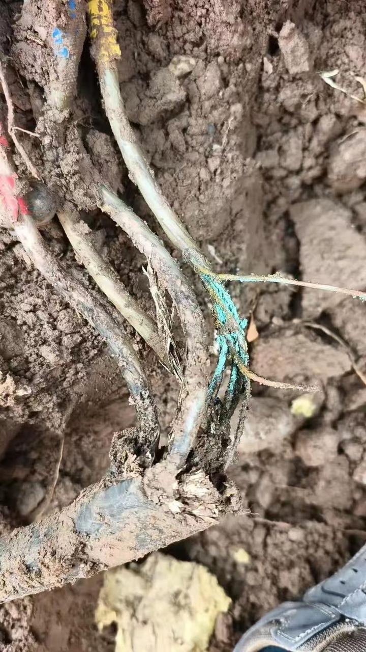 漏水检测仪器探测作业实拍