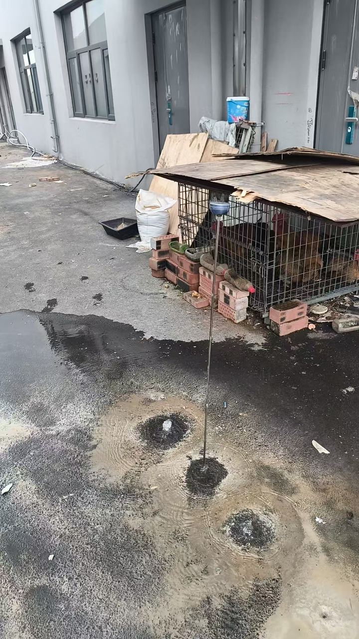 检测现场实拍：漏水检测定位与维修施工