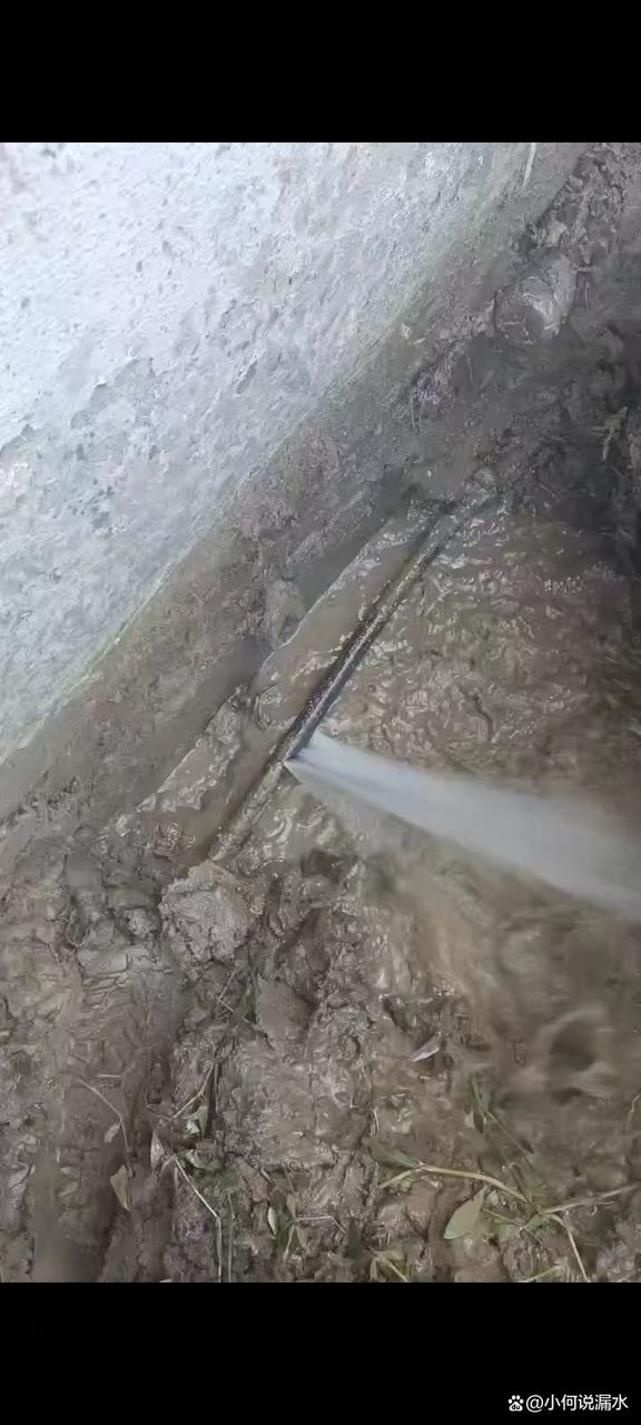 检测现场实拍:漏水检测定位与维修施工