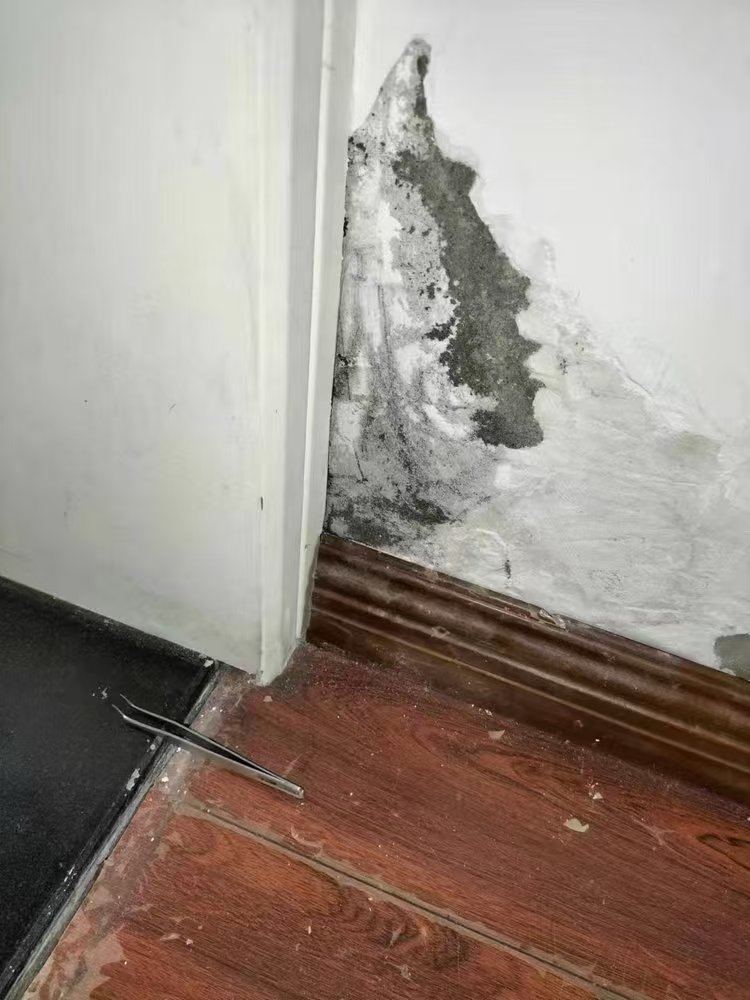 墙体渗水现场勘察实拍